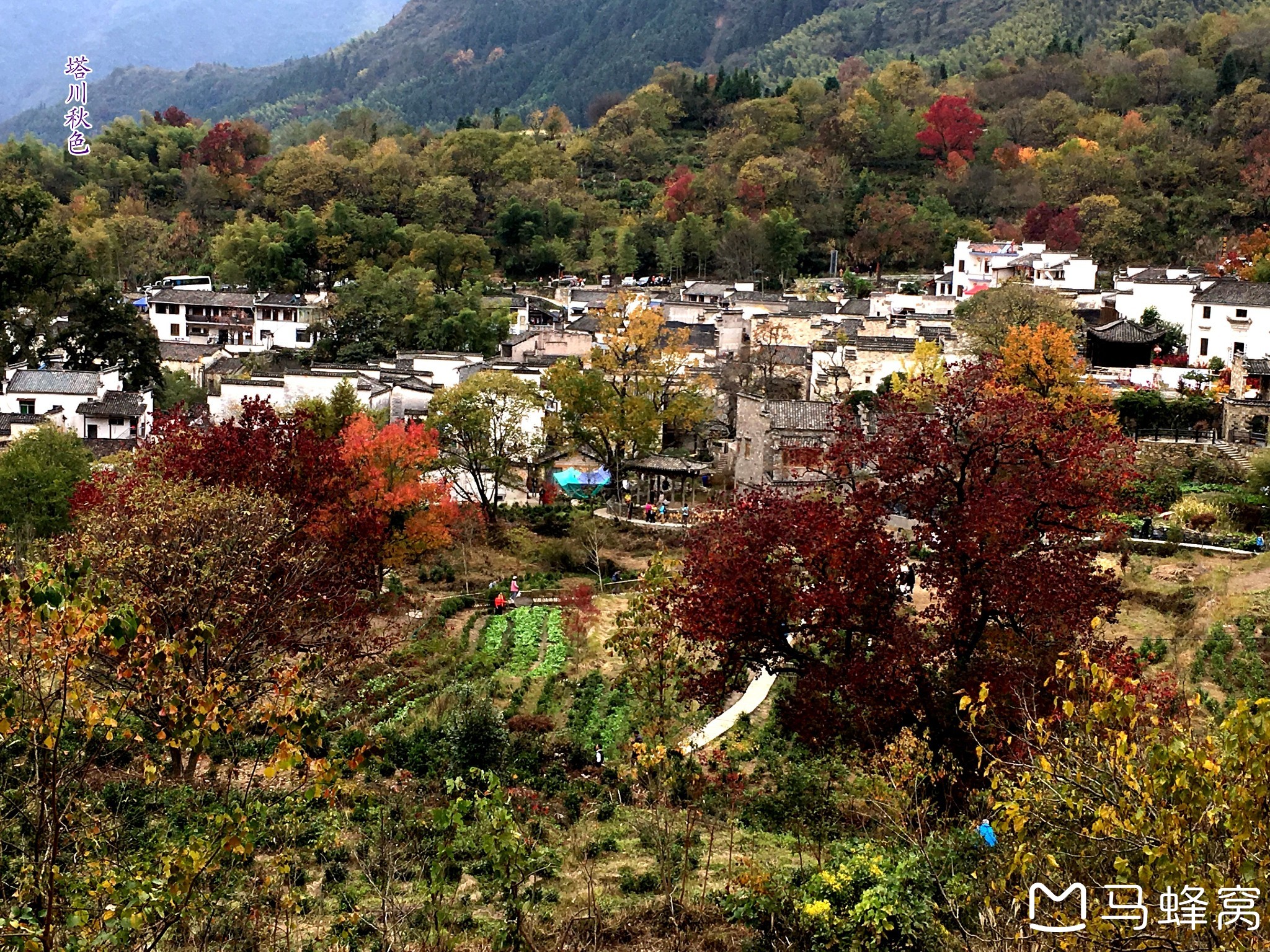 塔川景区