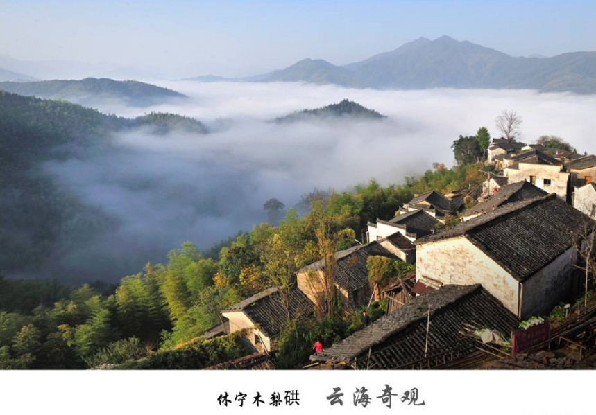 清爽一夏·黄山休宁木梨硔村 祖源村一日游(1人成行特色玩法户外徒步