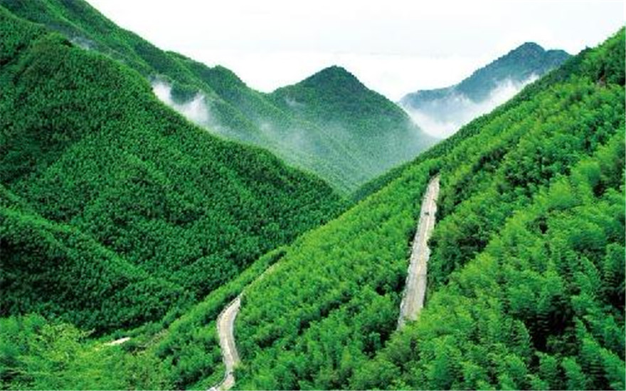 湖州安吉中国大竹海景区门票卧虎藏龙拍摄地