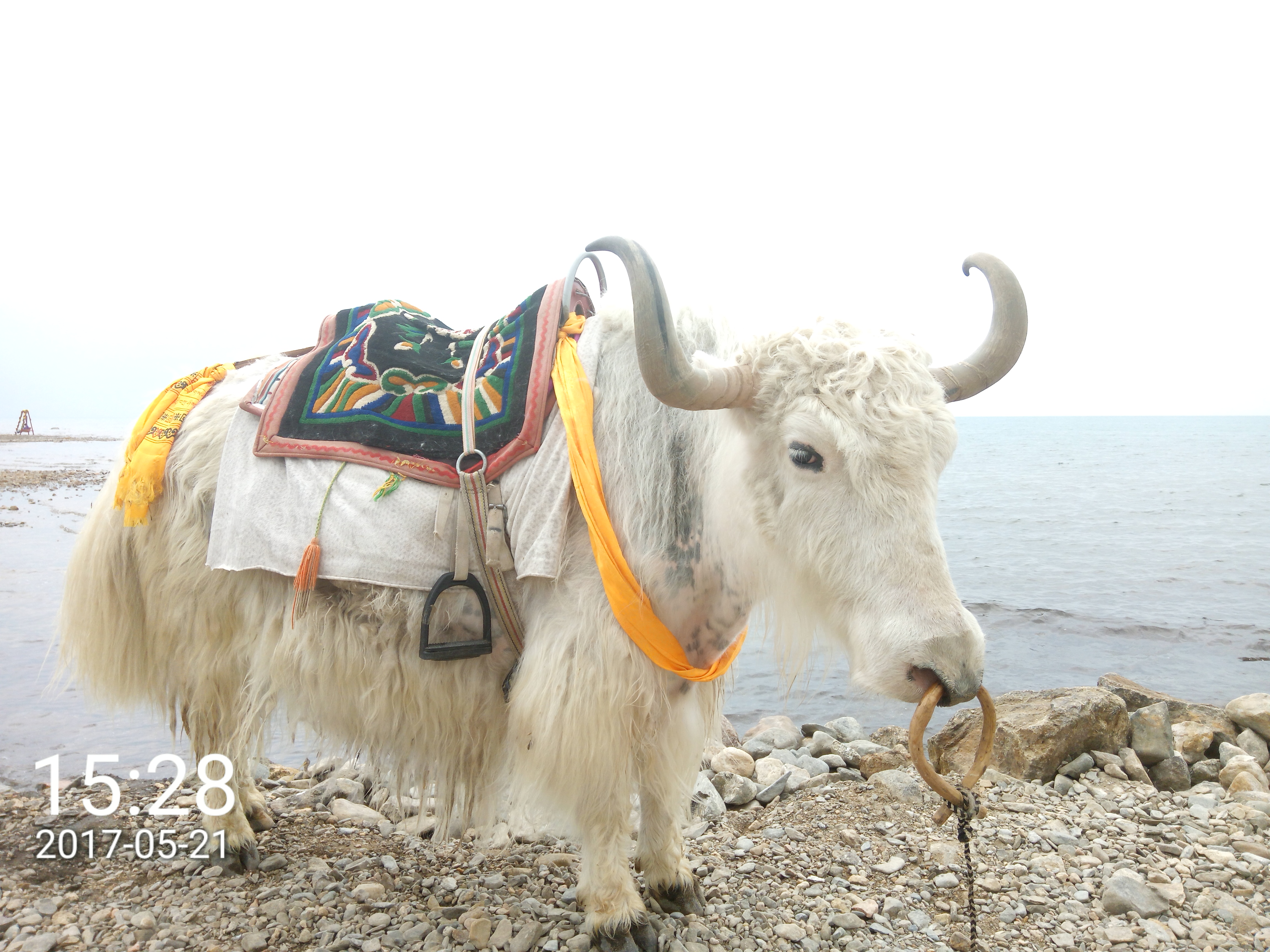 青海旅游的最好时间是几月 不会太挤天气又还好