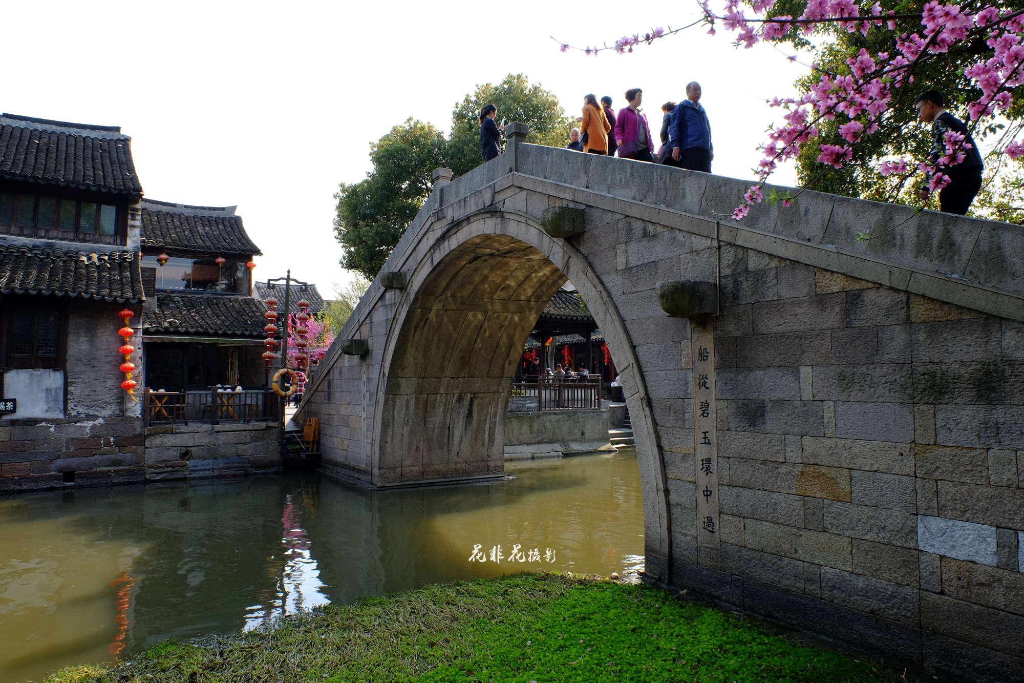 华东图记之五 西塘 正是江南好风景,樱花时节始逢君