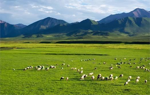 青海旅游的最好时间是几月 不会太挤天气又还好