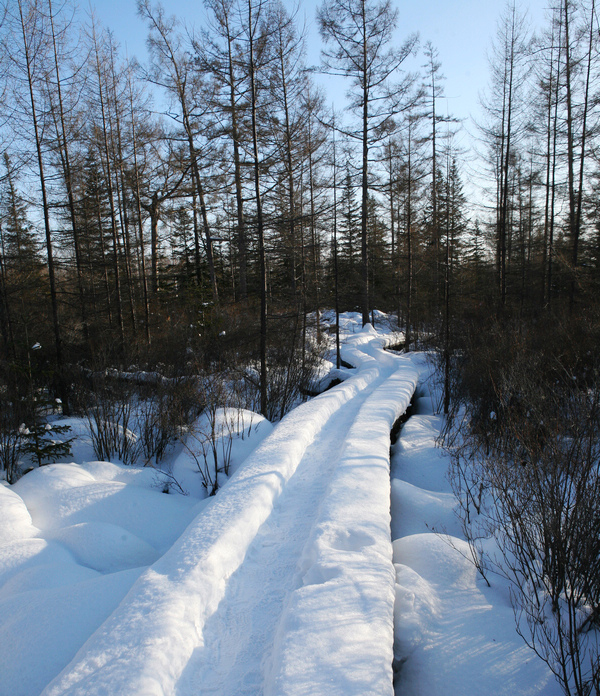 伊春,雪藏在小兴安岭里的童话冬天