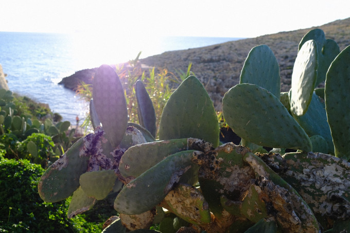 地中海岛国马耳他,马耳他旅游攻略