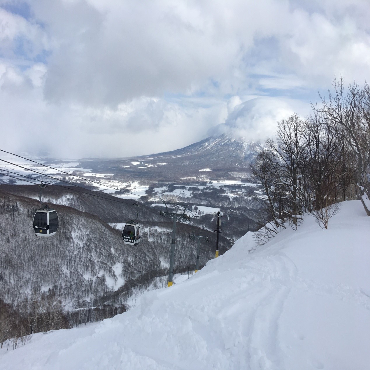 天津直飞日本北海道5天4晚滑雪自由行(二世谷/留寿都/喜乐乐滑雪场