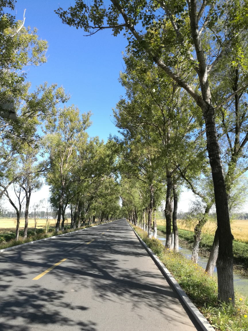新生～漫游劳改农场,营口旅游攻略 马蜂窝