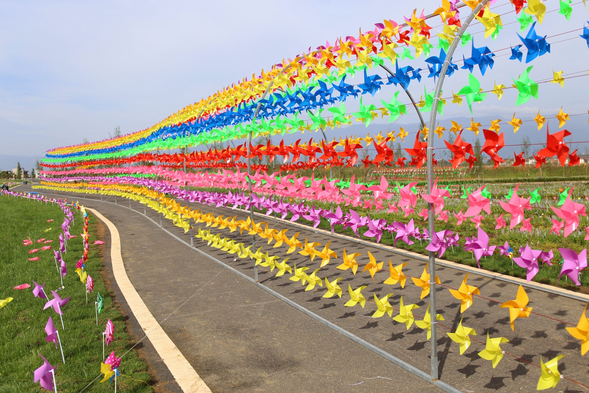 观富川神仙湖花海风车节