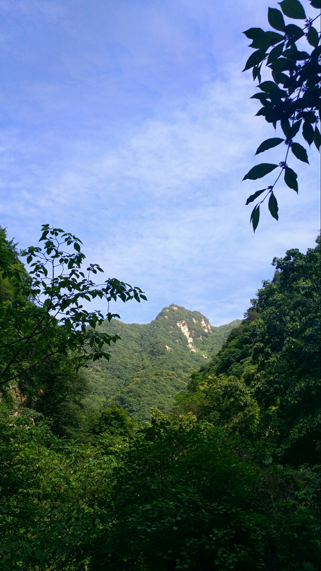 诗游中国之秦岭太平万花山