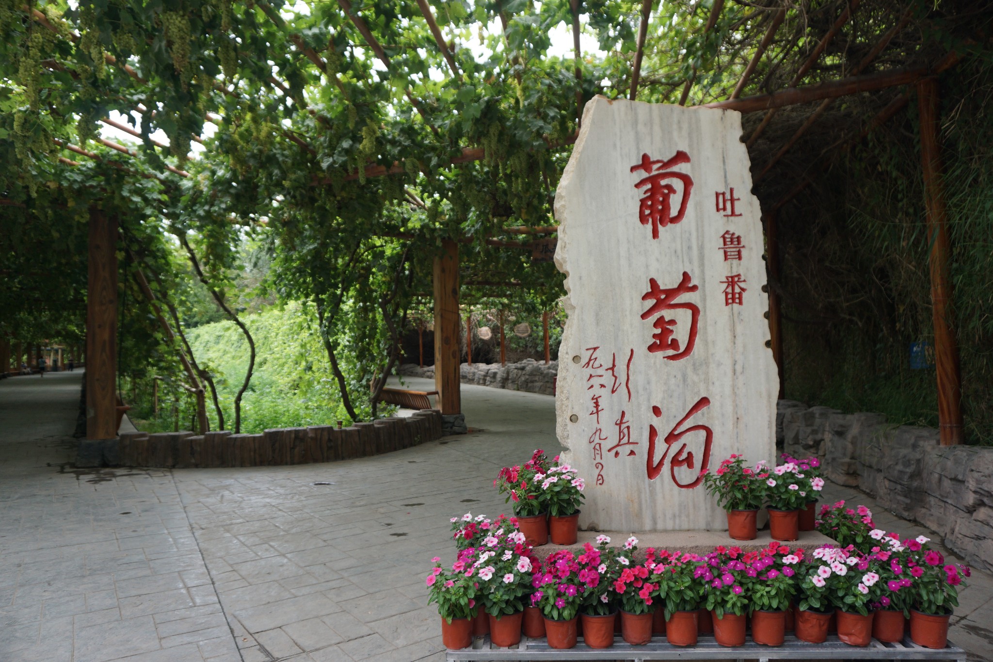 葡萄沟风景区—2018年7月新疆伊犁,库车,吐鲁番环线12天自驾游游记