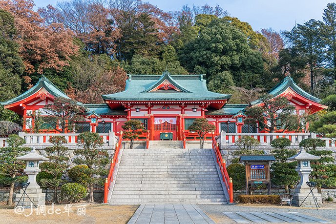 这次栃木之行去了两座神社,其中一座是足利市的足利织姬神社,这抹鲜亮