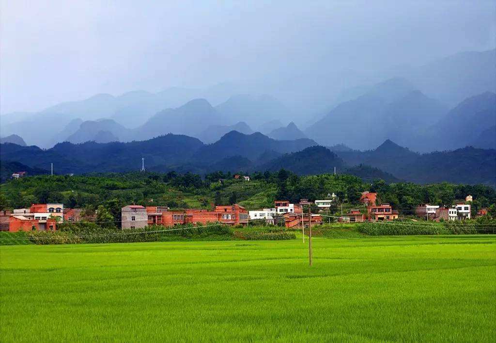 贵州遵义绥阳十二背后·地下裂缝景区门票(喀斯特天然洞穴博物馆 中国