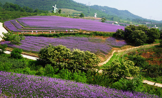 大连紫云花汐旅游景区