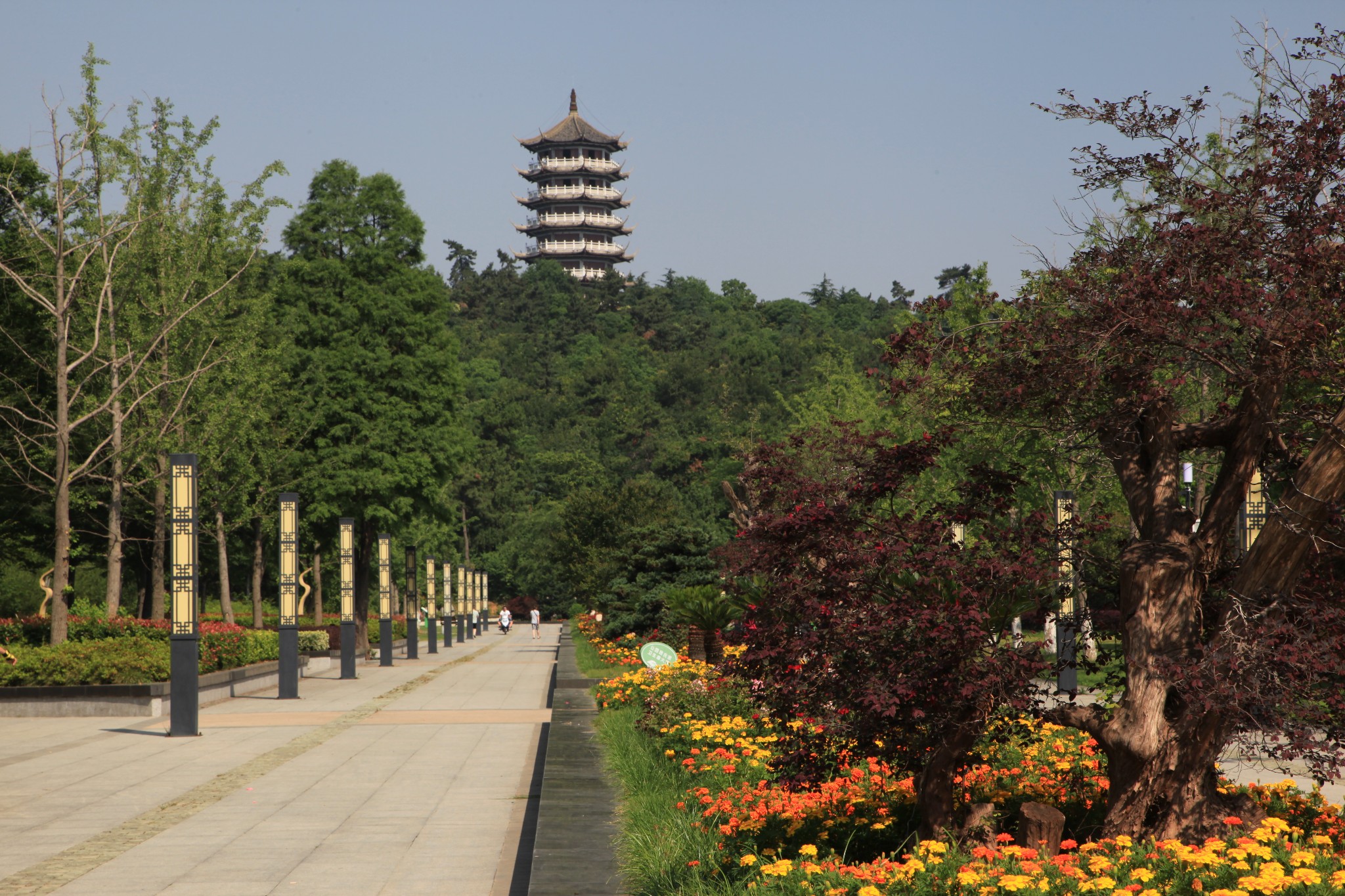 蚌埠~张公山公园