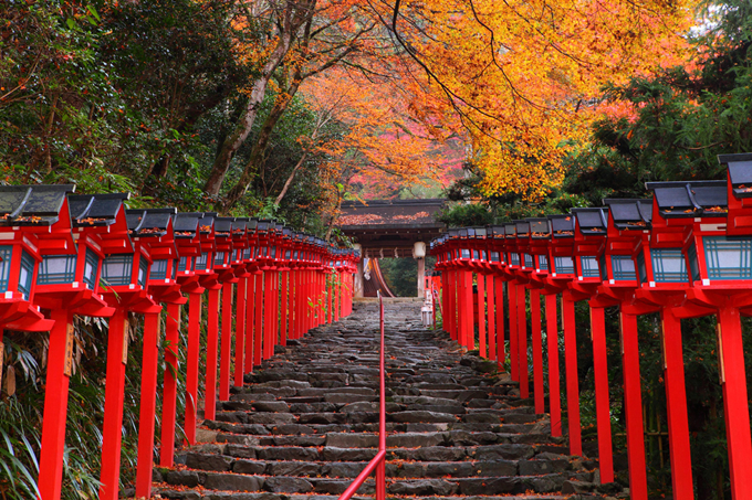 贵船神社 贵船神社作为京都古老的神社之一,因掌握了京都的水源源头