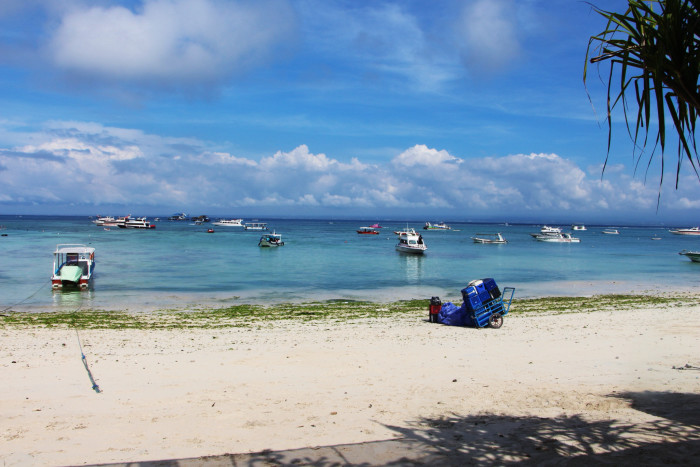 几月份适合去巴厘岛