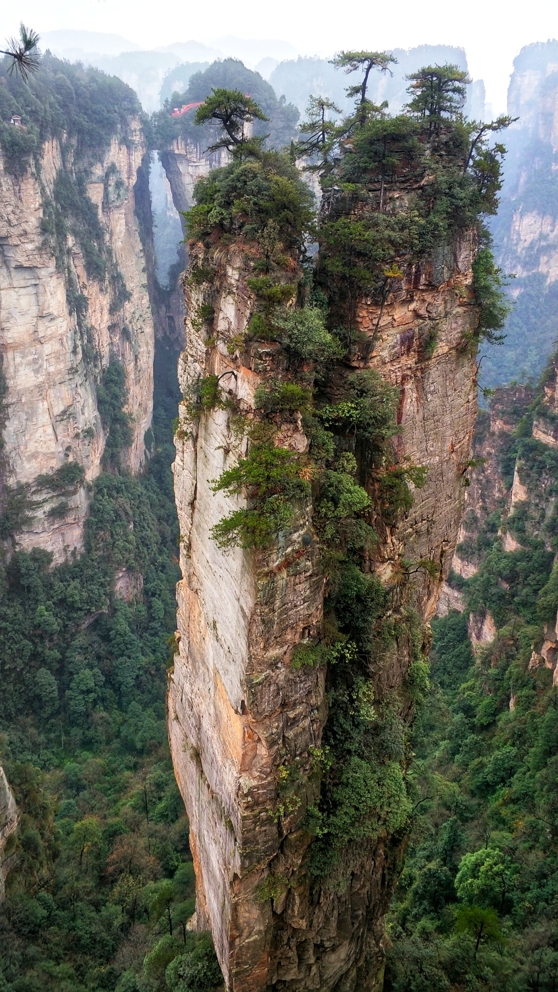 张家界天子山四季风光图片大全