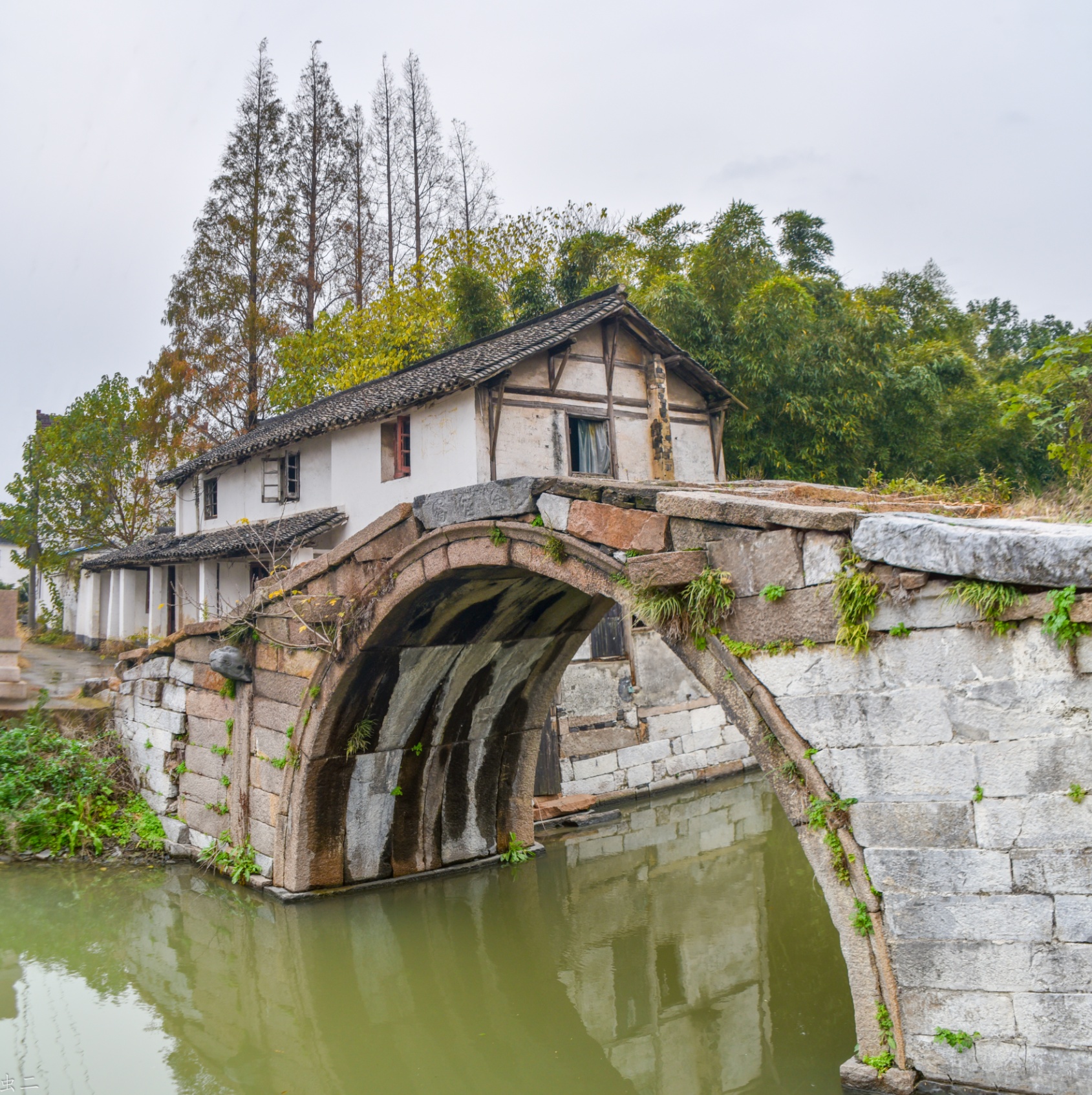 青浦章堰老街攻略,章堰老街门票_地址,章堰老街游览攻略 马蜂窝