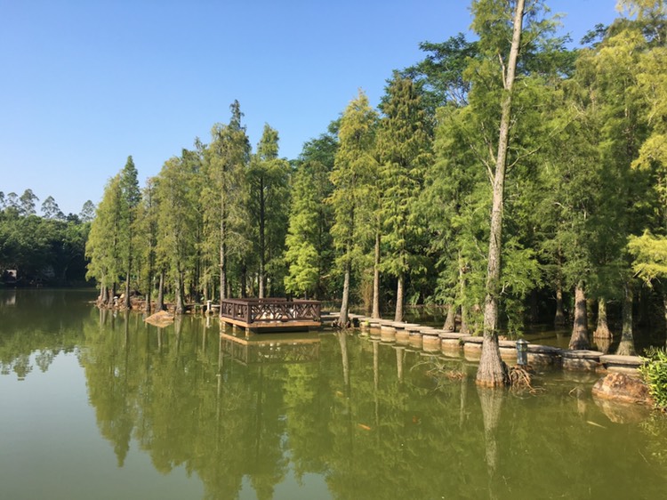 饶平绿岛山庄攻略,绿岛山庄门票_地址,绿岛山庄游览攻略 - 马蜂窝