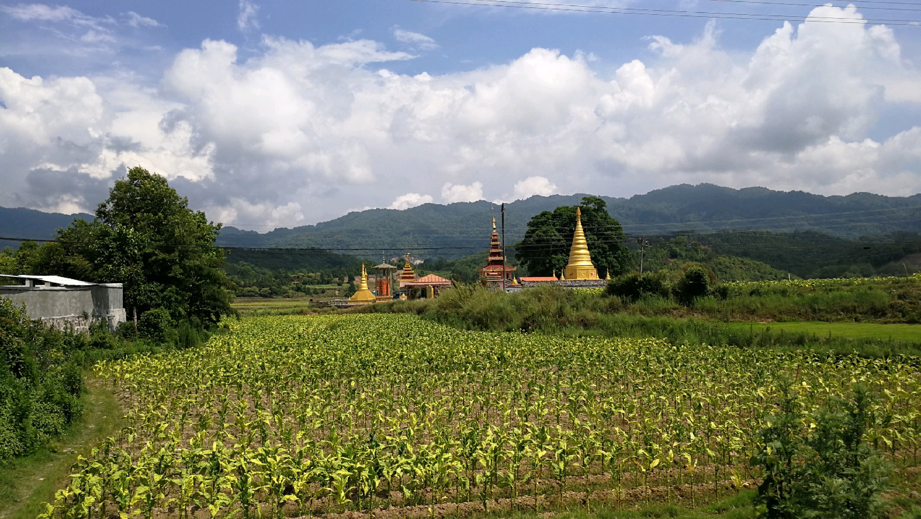 目的地>云南>德宏>陇川>陇川景点>