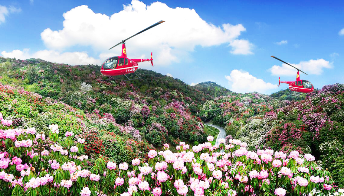 赏花季·贵州百里杜鹃空中游览体验成人票(5-25分钟空中游览体验)