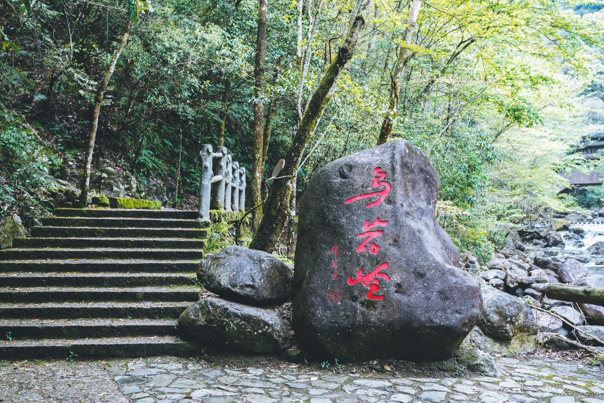 乌岩岭国家级自然保护区