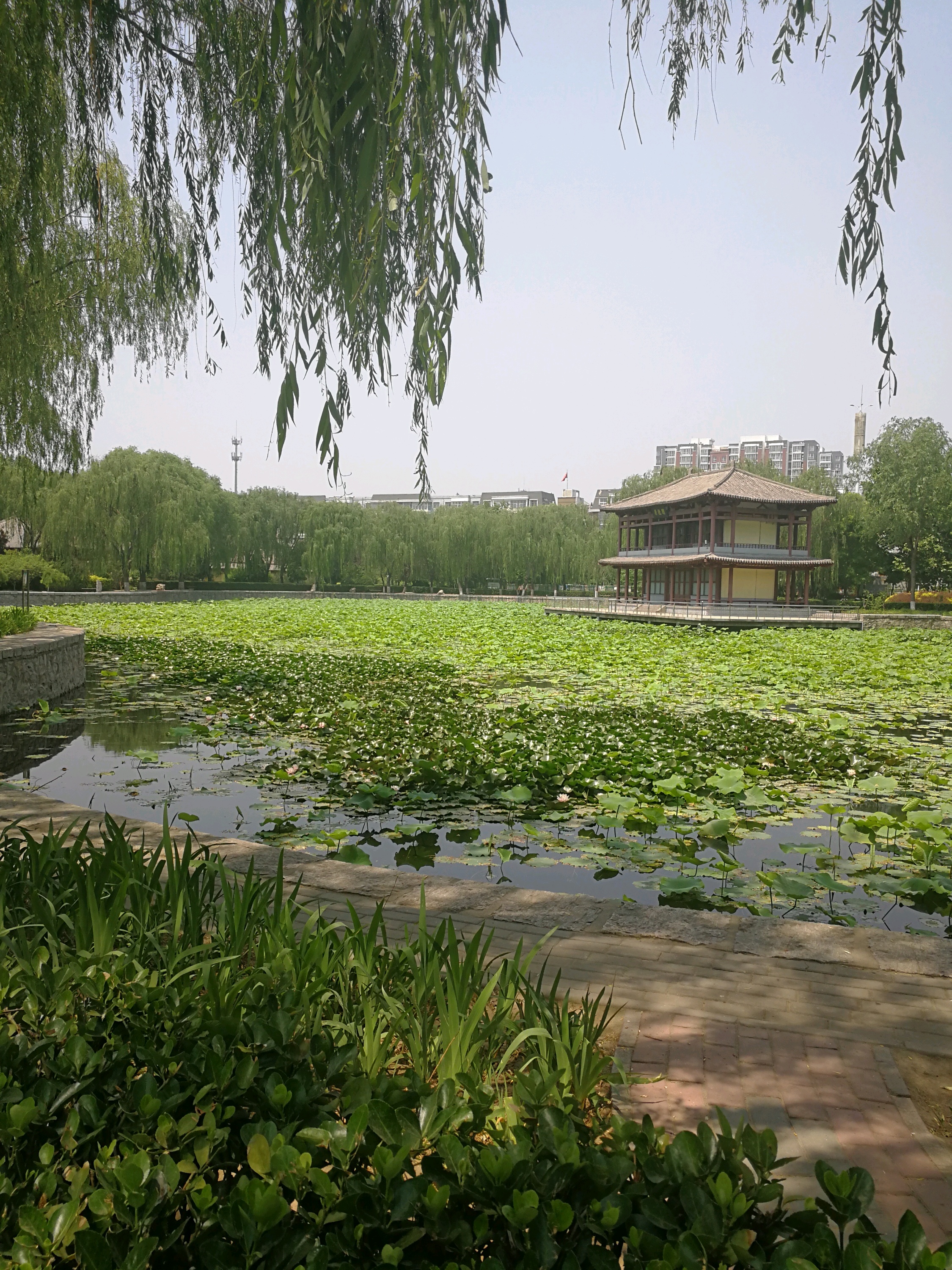 晋州景点介绍,晋州旅游景点,晋州景点推荐 - 马蜂窝