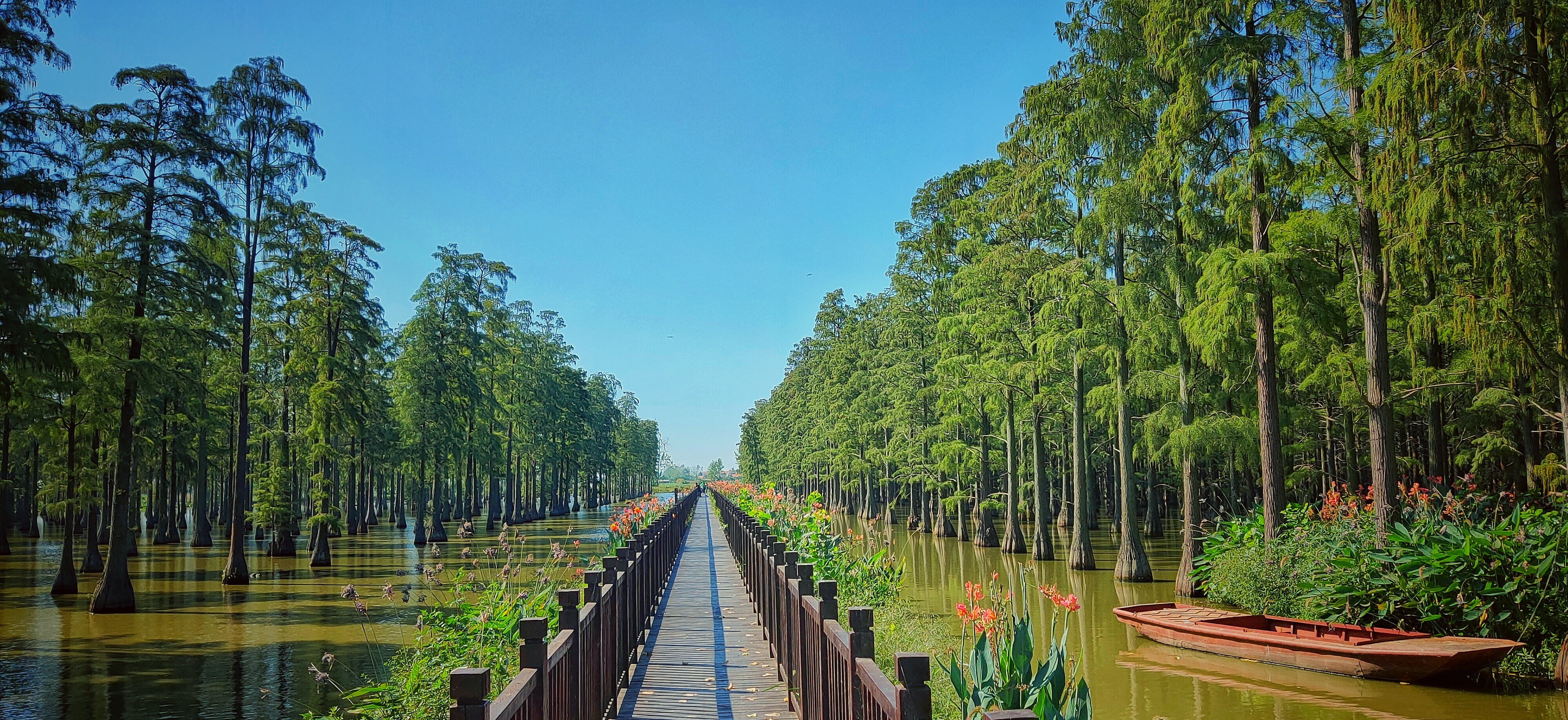 涨渡湖湿地森林公园