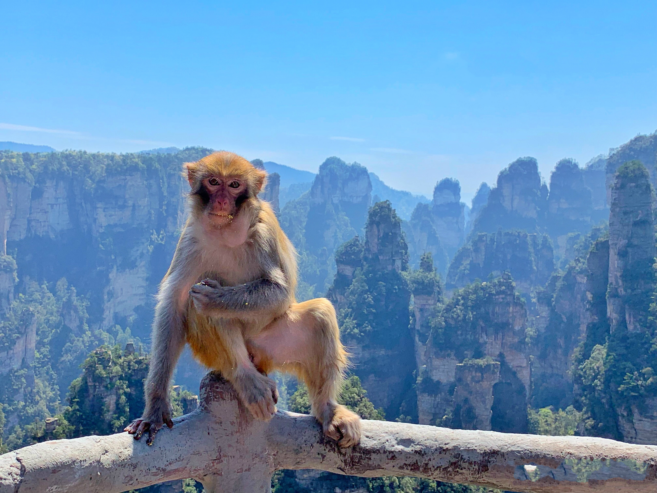 私家定制团 / 张家界旅游畅游经典3日游（上山顶观日出+森林公园潘多拉探秘+挑战悬空天门山玻璃栈道+宿山村特色客栈民俗风情）