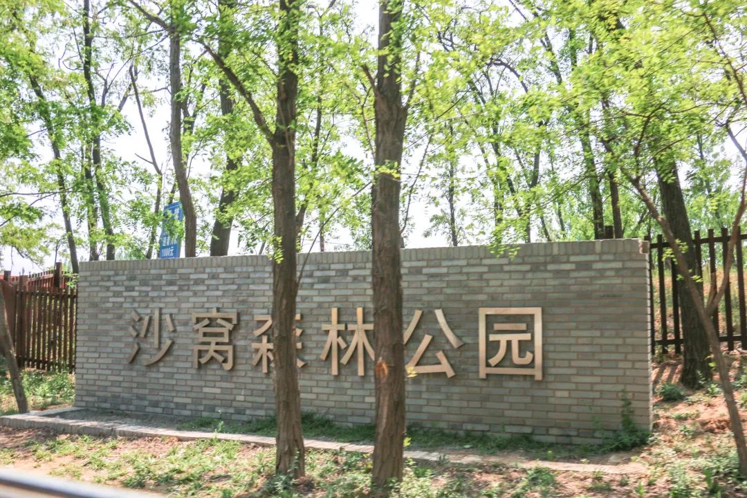 郑州零差评的花海民宿!自驾1h嗨玩2天!