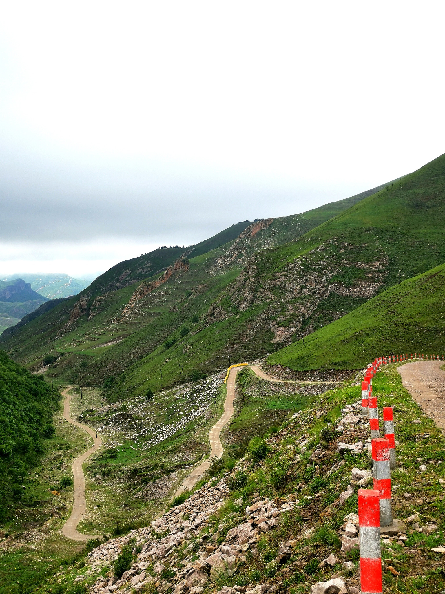 茶山村露营