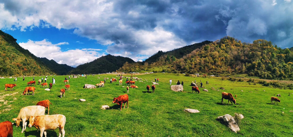 留坝景点介绍,留坝旅游景点,留坝景点推荐 - 马蜂窝