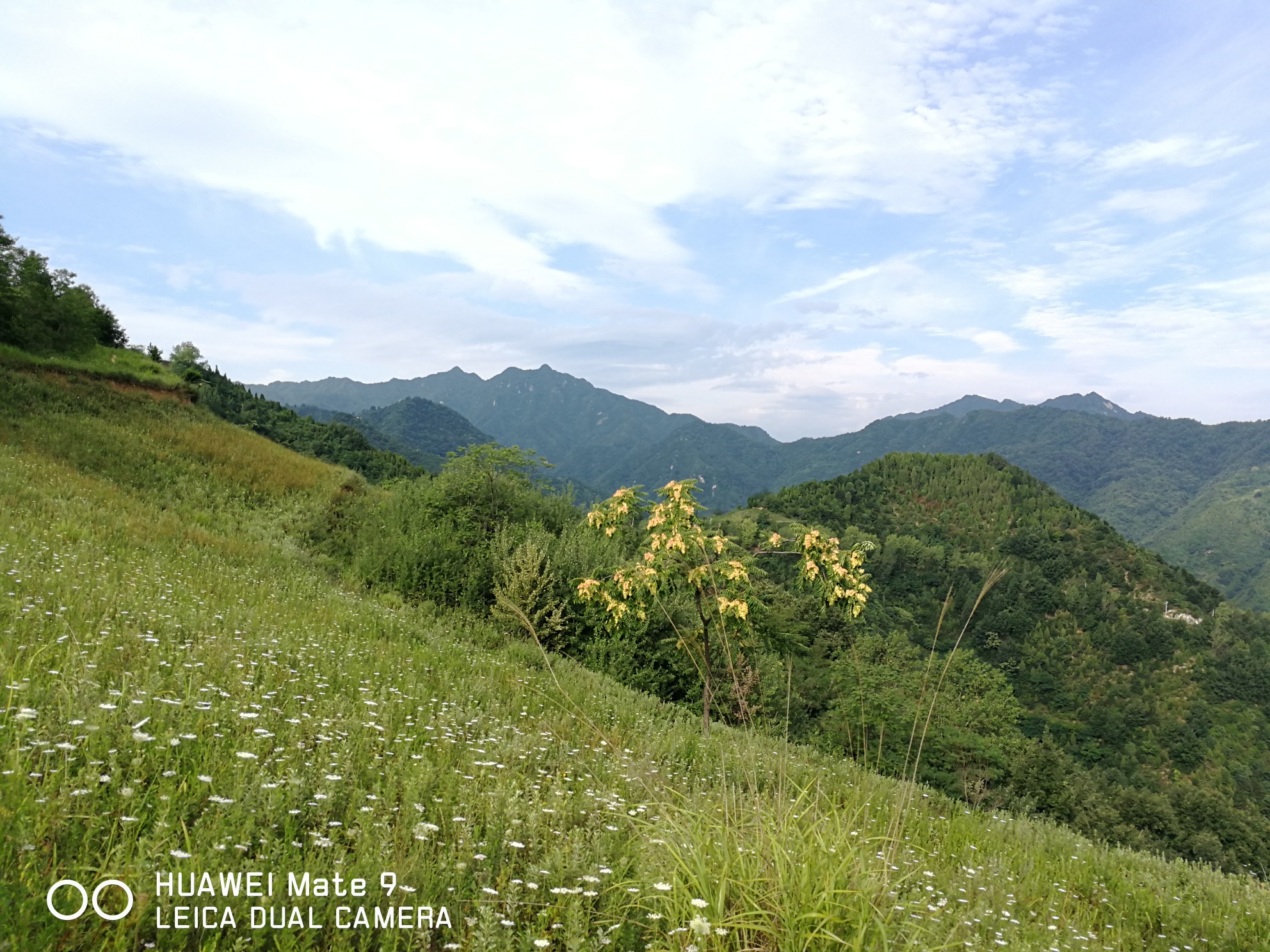 秦岭天子峪,西安自助游攻略 马蜂窝