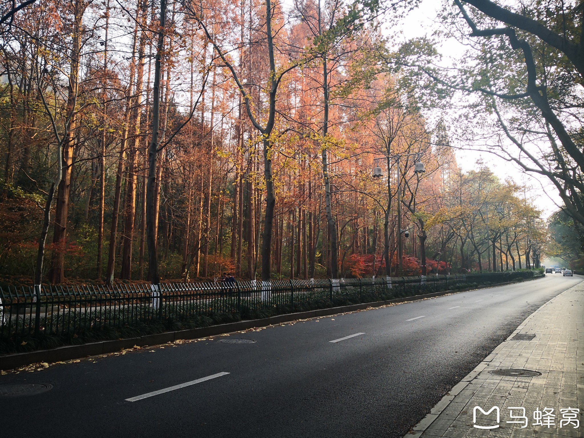 12月份一个周日的下午外出走路毅行锻炼(杭州满觉陇路)