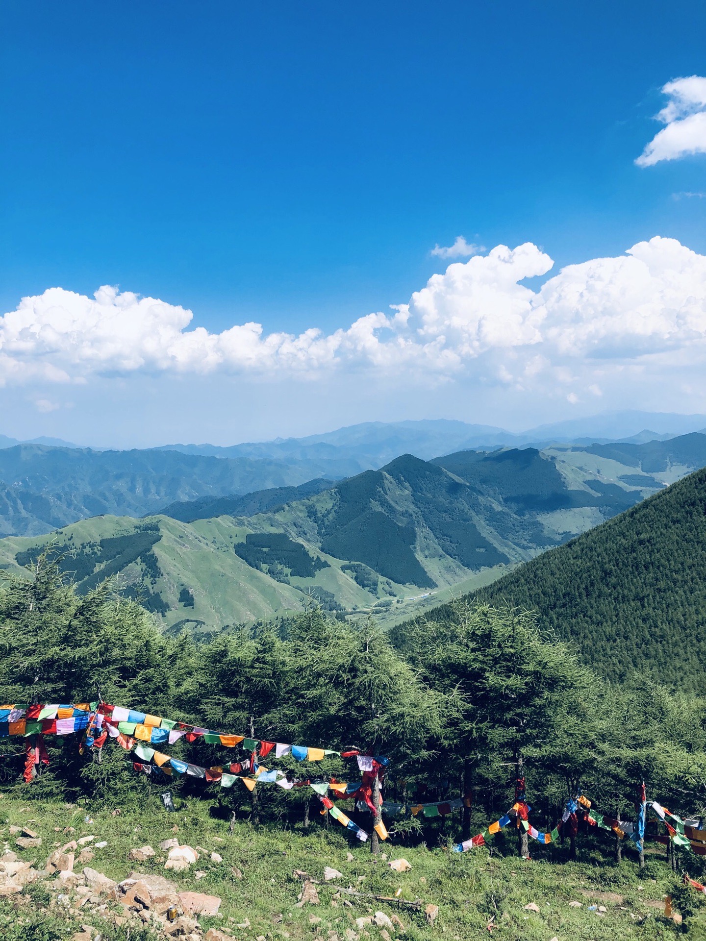 忻州|五台山,一个人的朝圣之旅