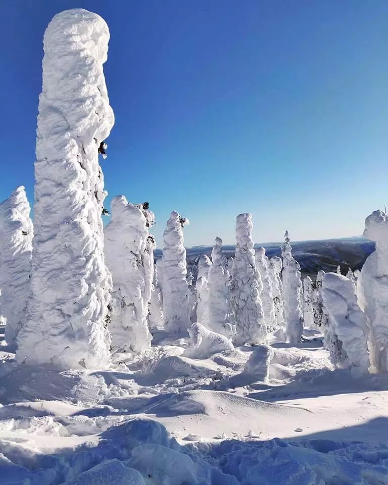 费尔班克斯冬季指南,带你玩转冰雪仙境!