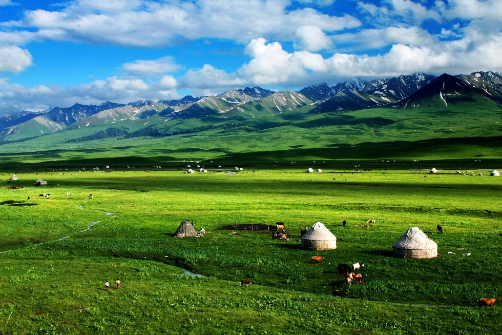 新疆旅游图片,新疆自助游图片,新疆旅游景点照片 - 马
