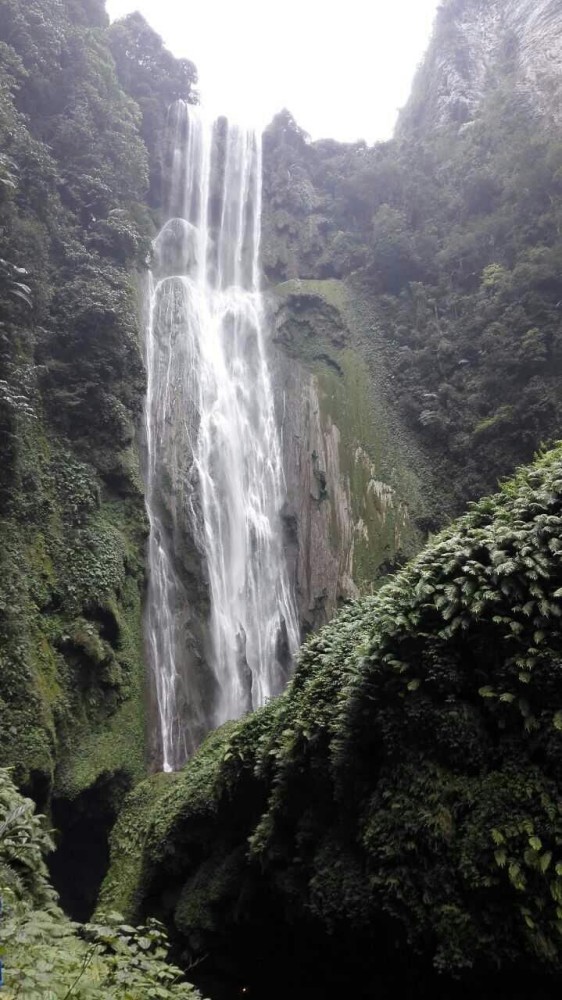 想问下过年去南宁好玩吗 天气怎么样 会不会很多人