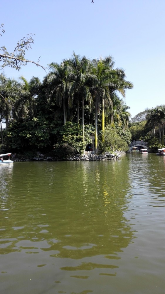 想问下过年去南宁好玩吗 天气怎么样 会不会很多人