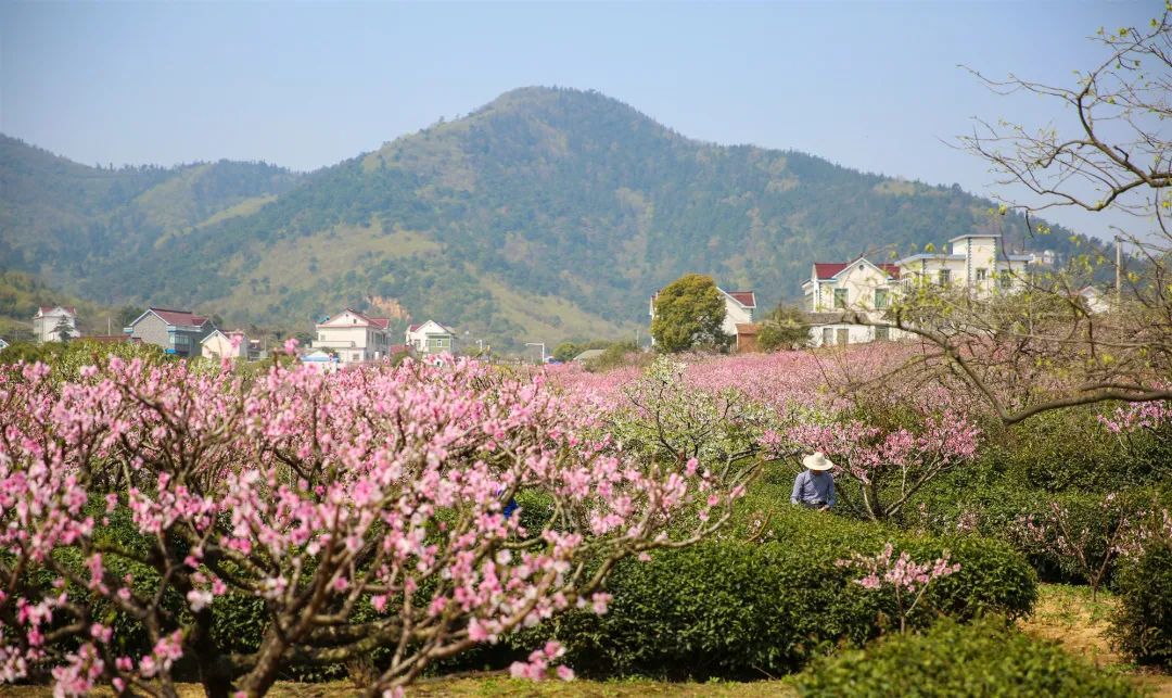 马鞍山市·桃花村