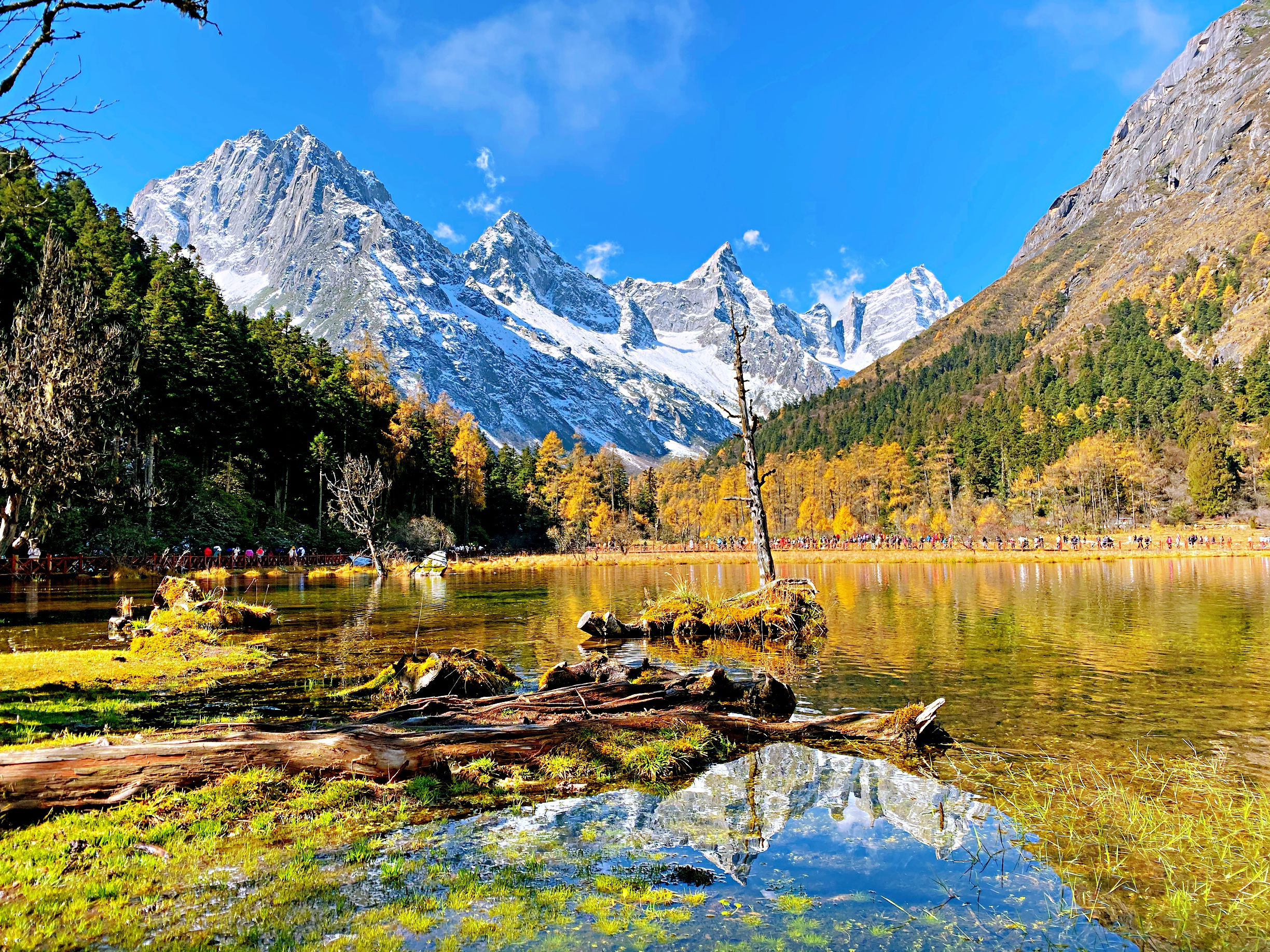 【赏蜀山皇后秋景】 四姑娘山2日游 毕棚沟/四姑娘山2日游双沟门票