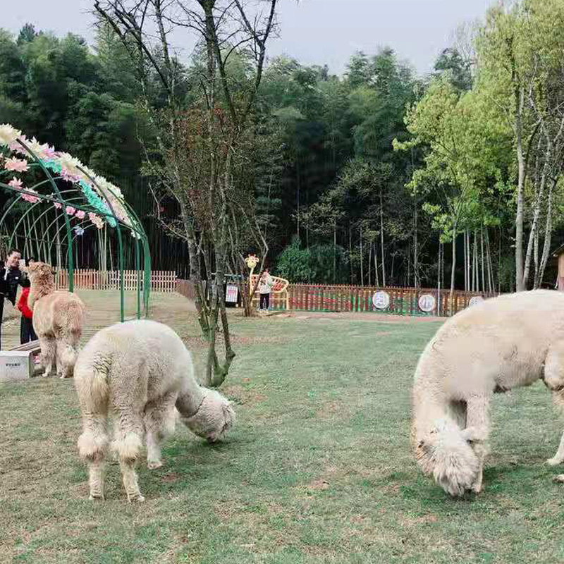 茅山宝盛园茅山宝盛园野趣旅游度假区坐落在风景秀丽的江苏金坛茅山