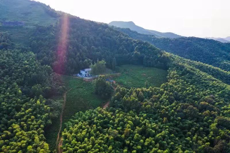 关注 庐江 凌安有美景 上冲有故事 秀美上冲 在庐江的东南,有座寨基山