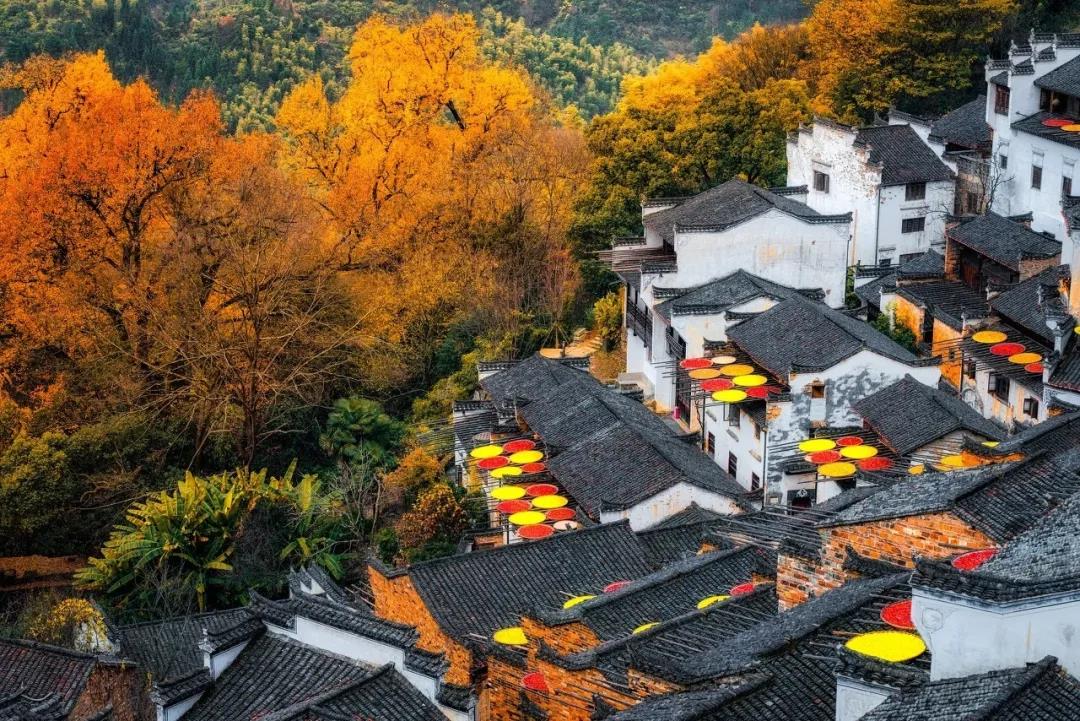 江西九江婺源赏秋景2日游婺源篁岭长溪村皖南徽派古居三清山