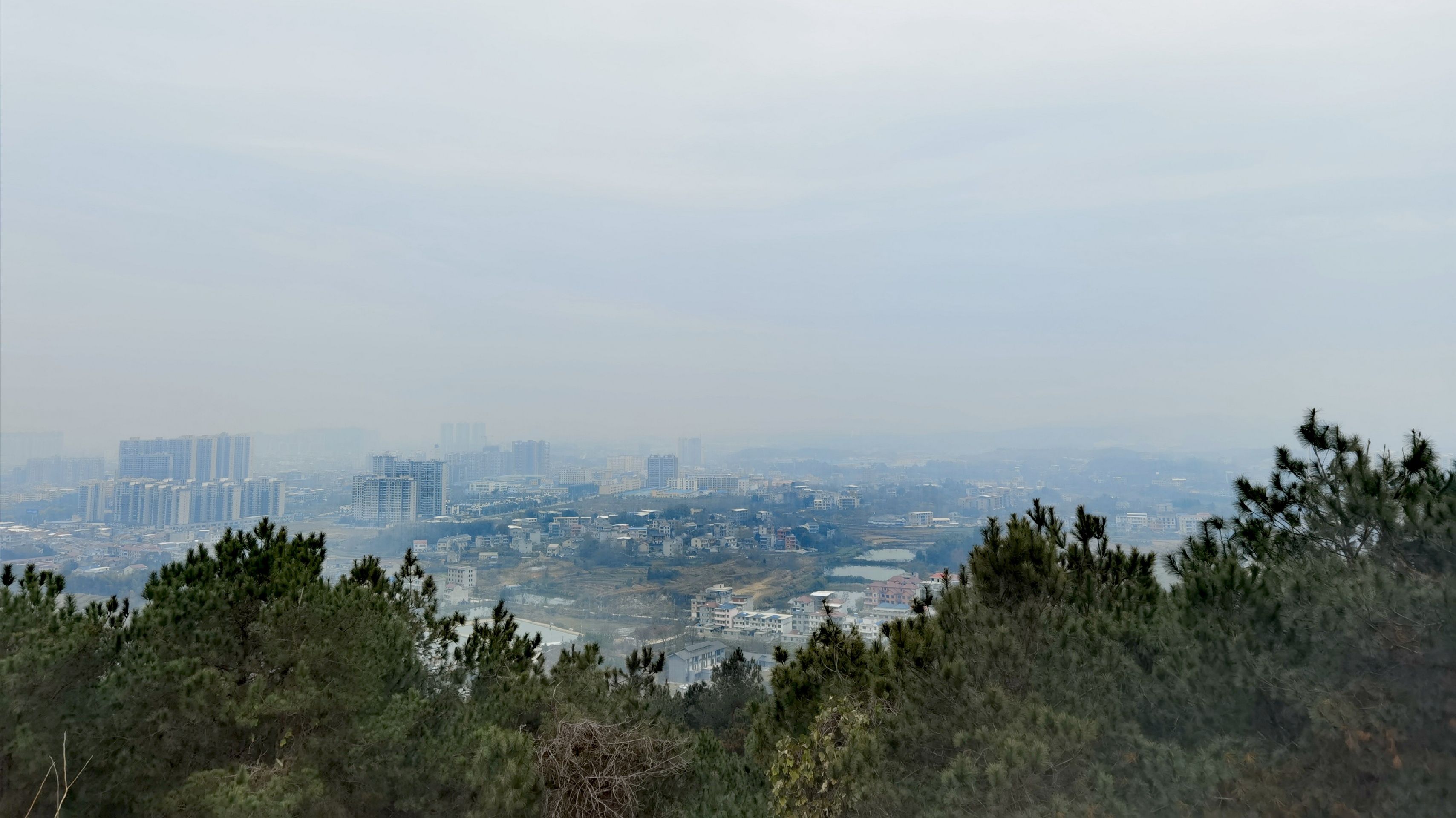 蕲春独山森林公园