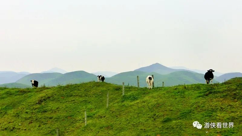 桂北湘南:湖南城步南山牧场