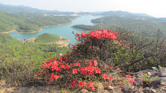 广东惠州平安山生态旅游风景区电子票