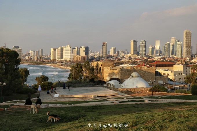 环球旅行系列,以色列及巴勒斯坦 环球旅行系列,以色列及巴勒斯坦