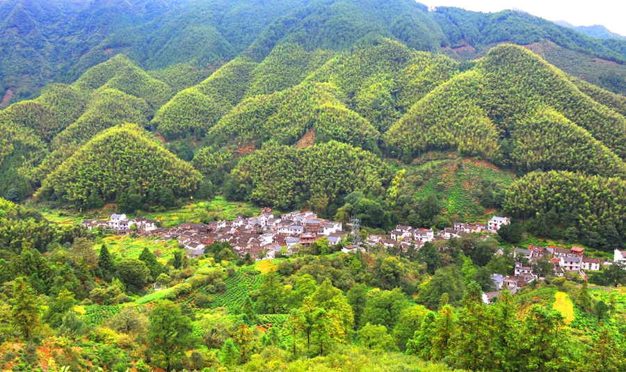 石屋坑/右龙村/新安源一日游