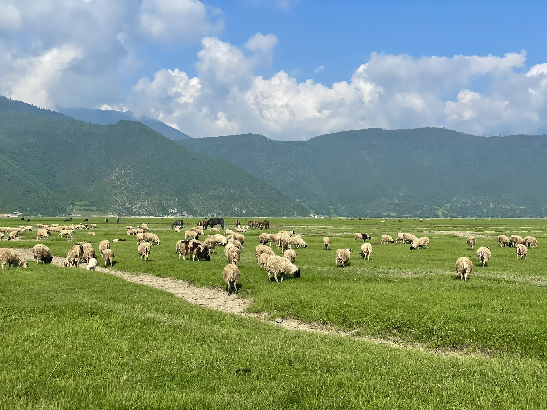 Shangri-la Napahai Nature Reserve