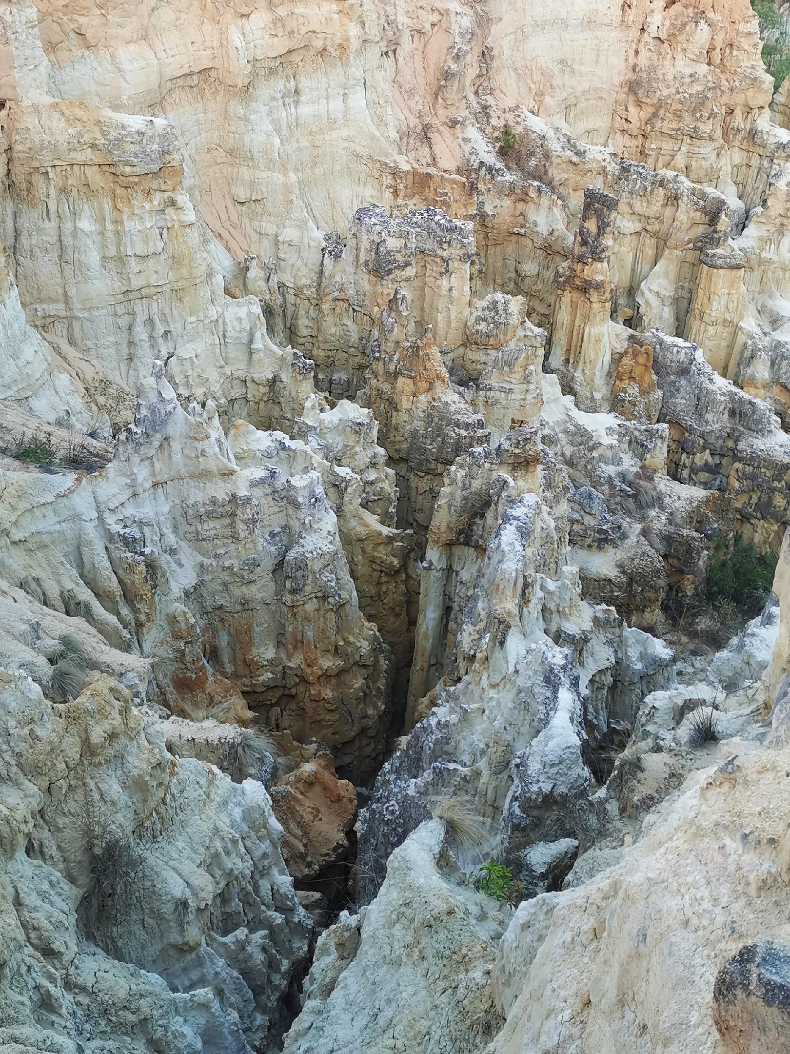 牟定景点介绍,牟定旅游景点,牟定景点推荐 - 马蜂窝